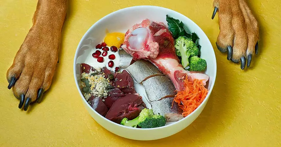 Veja os benefícios da carne na alimentação dos pets