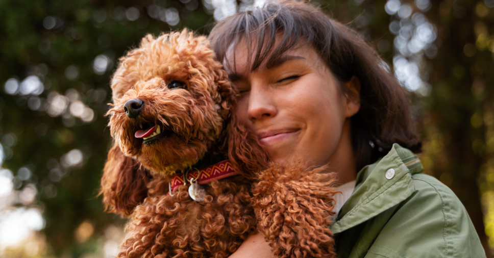 Relação entre cachorros e humanos: uma conexão que vai além do amor
