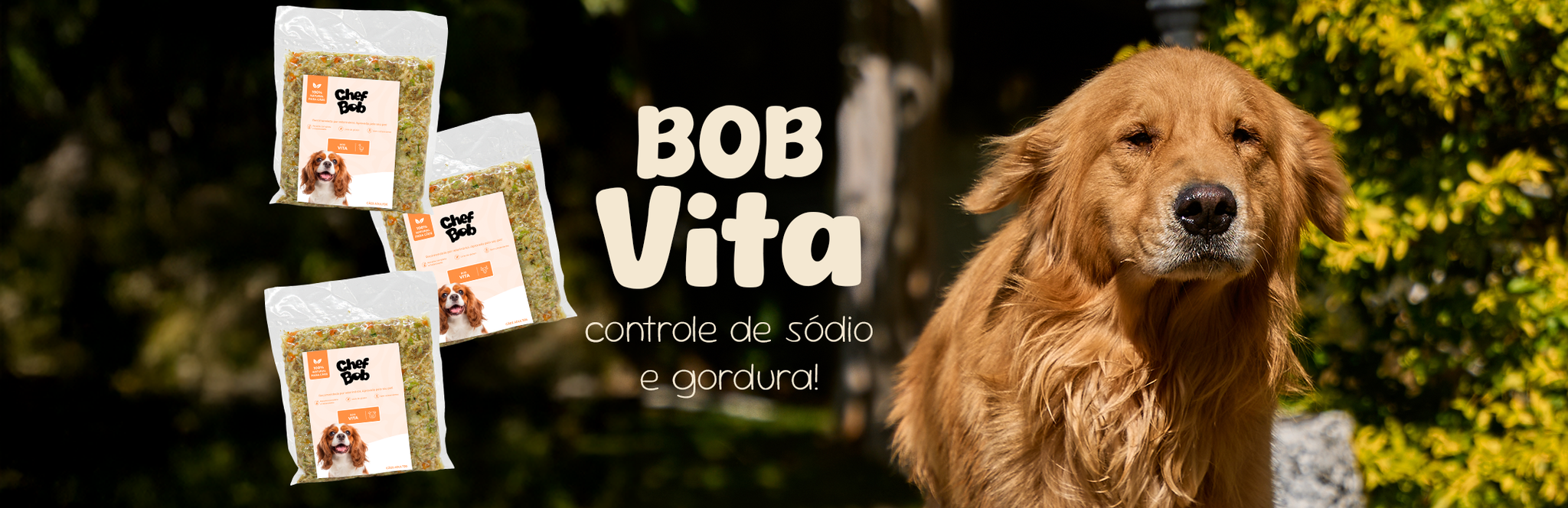 Kit degustação - Linha Bob Vita