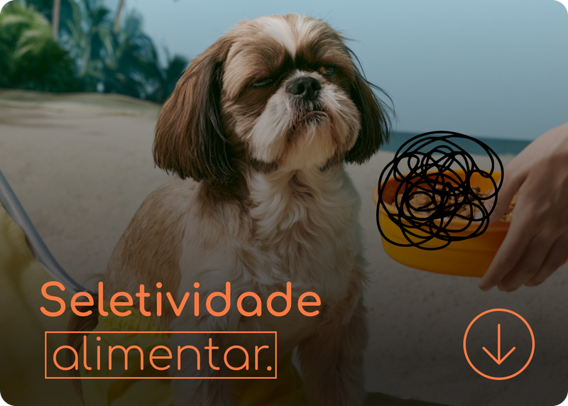 Seu cachorro é "fresco" para comer?