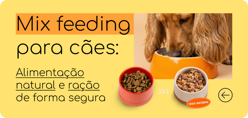 Mix feeding para cães: como combinar alimentação natural e ração