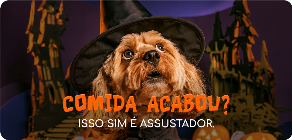 O maior terror de quem tem pet: quando a comida acaba na pior hora 🎃