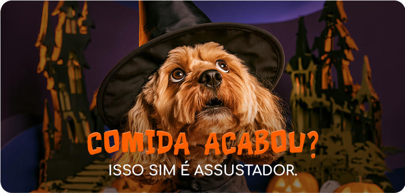 O maior terror de quem tem pet: quando a comida acaba na pior hora 🎃