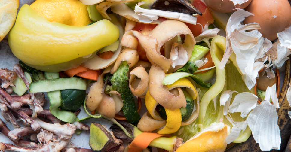 Posso dar comida caseira ou restos de comida para meu cachorro?