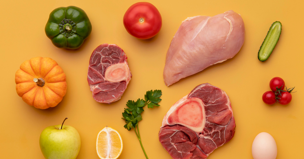 Carne para Alimentação dos Pets: Benefícios e Cuidados Importantes