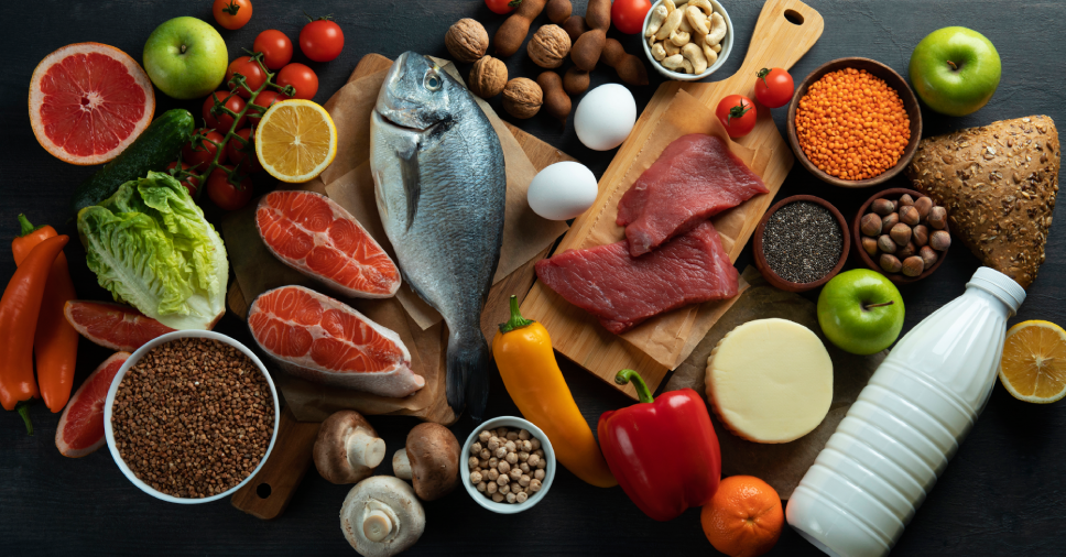 Quais alimentos são proibidos para cães? Descubra os principais