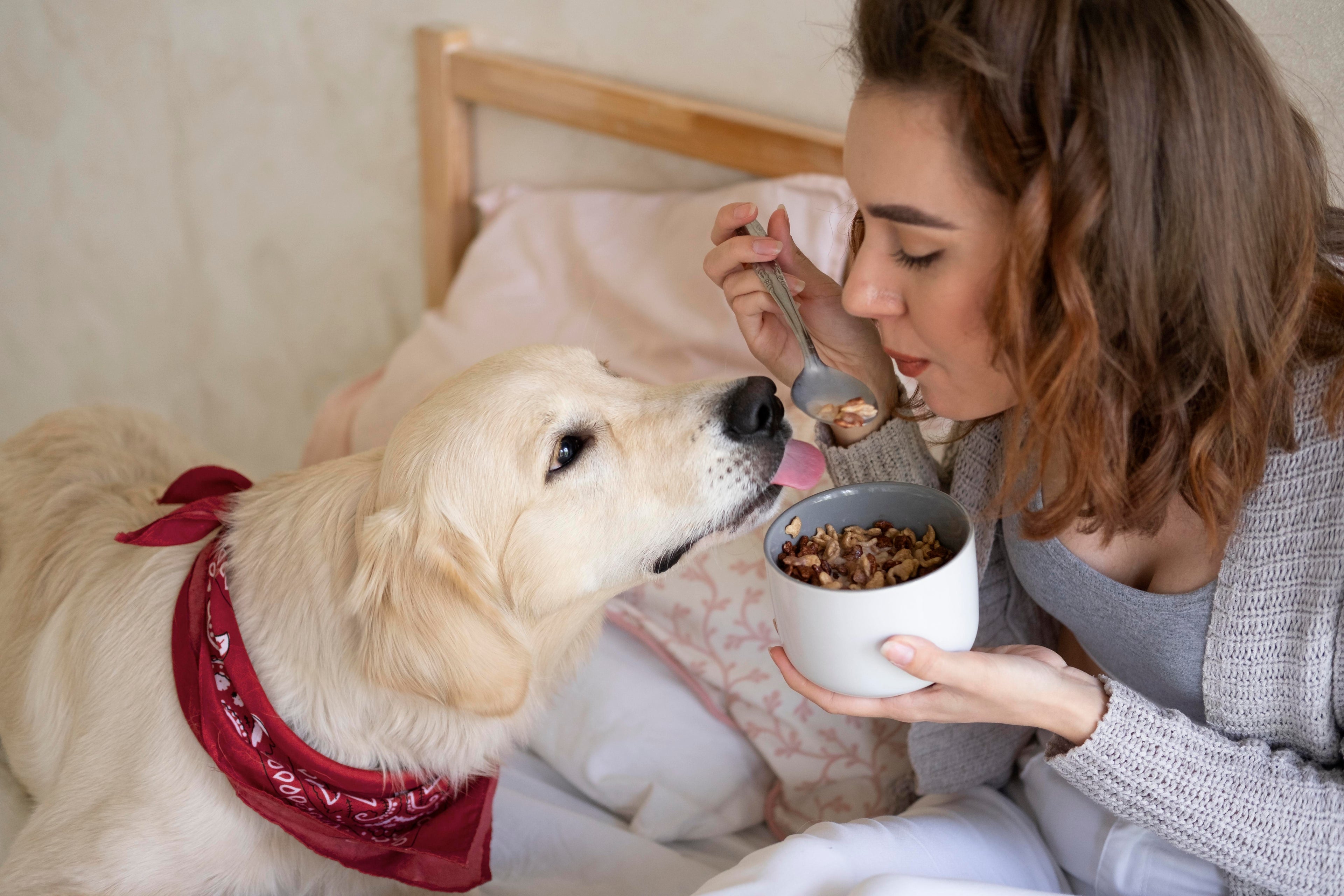 Deficiência nutritiva em cães: como identificar, prevenir e tratar