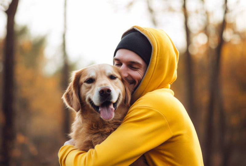 Maio Amarelo Pet: como a alimentação natural pode ajudar a proteger os rins do seu cã