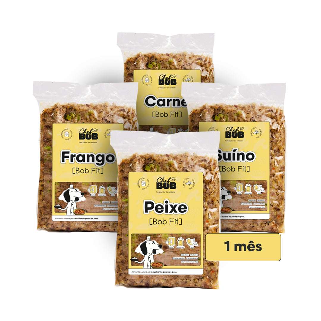Pacote Mensal - Linha Bob Fit
