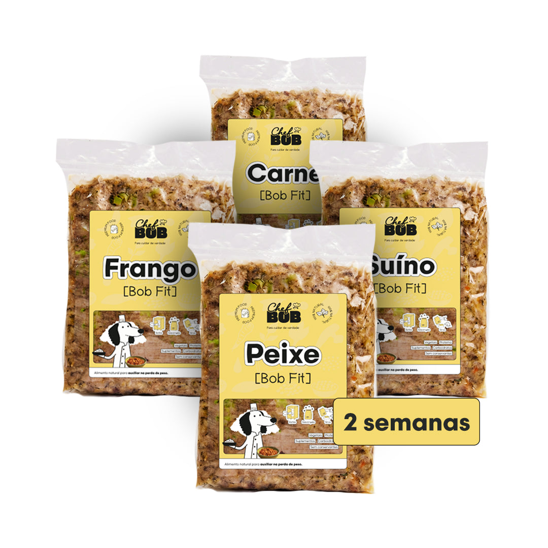 Pacote Quinzenal - Linha Bob Fit
