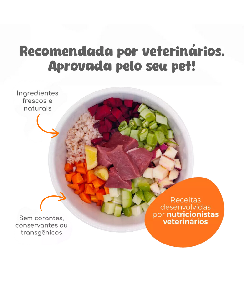 Carne com Linhaça e Chia